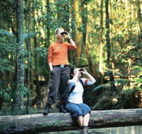 Birdwatching on the Fraser Coast - Accommodation Mooloolaba