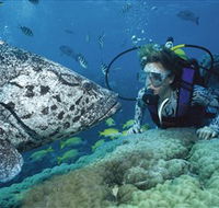 Pelorus Island - Accommodation Mooloolaba