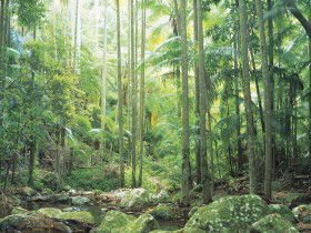 Python Rock - Accommodation Mooloolaba 0