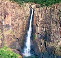 Buujan Quiinbiira Walk Wet Tropics Great Walk - Accommodation Mooloolaba