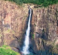 Gugigugi Butterfly Walk Wet Tropics Great Walk - Accommodation Mooloolaba