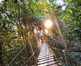 Tree Top Walkway - Accommodation Mooloolaba 0