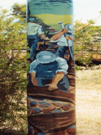 Alpha Murals - Accommodation Mooloolaba