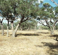 Forest Den National Park - Accommodation Mooloolaba