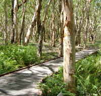 The Kommo Toera Trail - Accommodation Mooloolaba