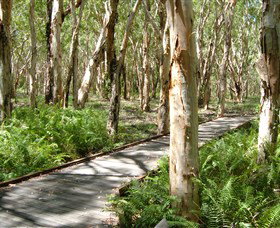 The Kommo Toera Trail - Accommodation Mooloolaba 0