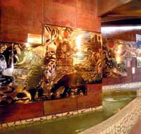 Riversleigh Fossil Centre - Accommodation Mooloolaba