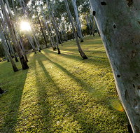 Tondoon Botanic Gardens - Accommodation Mooloolaba