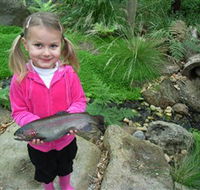 Wild Food Farm  Cafe - Accommodation Mooloolaba