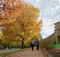 Indigo Gold Trail - Accommodation Mooloolaba