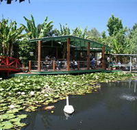 Blue Lotus Water Garden - Accommodation Mooloolaba