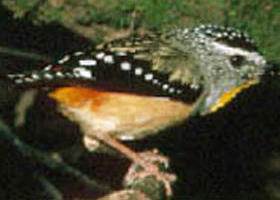 Accommodation Mooloolaba