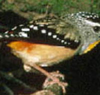 Reef Hills State Park - Accommodation Mooloolaba