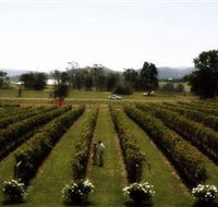 Rochford Wines - Accommodation Mooloolaba