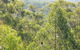 Bunyip State Park - thumb 0