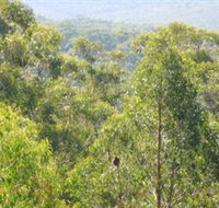 Bunyip State Park - Accommodation Mooloolaba