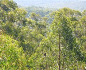 Bunyip State Park - Accommodation Mooloolaba 0