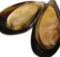 Sea Bounty - Accommodation Mooloolaba