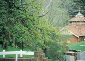 Hepburn Regional Park - Accommodation Mooloolaba 0