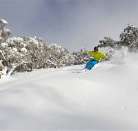 Mt Buller and Mt Stirling Alpine Resort - Accommodation Mooloolaba