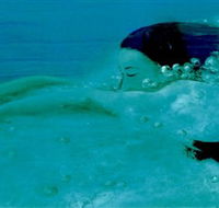 Muse - Accommodation Mooloolaba
