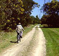 Koomba Park - Accommodation Mooloolaba