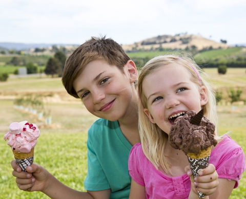 Yarra Valley Chocolaterie & Ice Creamery - Accommodation Mooloolaba 6