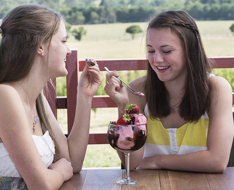 Yarra Valley Chocolaterie & Ice Creamery - Accommodation Mooloolaba 8