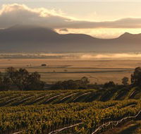Montara Wines - Accommodation Mooloolaba