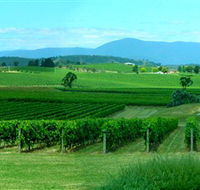 Acacia Ridge Vineyard - Accommodation Mooloolaba
