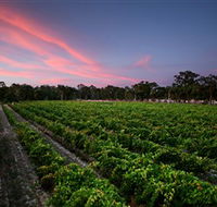 Amherst Winery - Accommodation Mooloolaba
