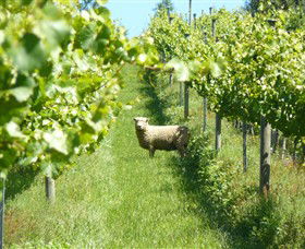 Passing Clouds - Accommodation Mooloolaba 0