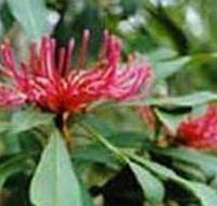Alfred National Park - Accommodation Mooloolaba