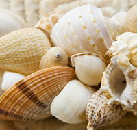 Anglesea Beach Club - Accommodation Mooloolaba