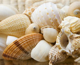 Anglesea Beach Club - Accommodation Mooloolaba 0