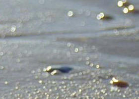 Walkerville South VIC Accommodation Mooloolaba