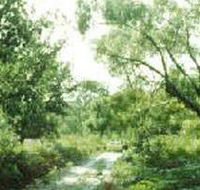 Holey Plains State Park - Accommodation Mooloolaba