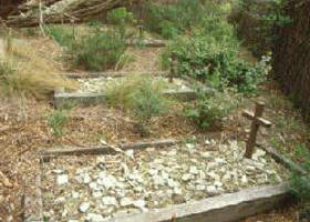 Collins Settlement Historic Site - Accommodation Mooloolaba 0