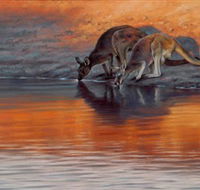 Steve Morvell Wildlife Art - Accommodation Mooloolaba