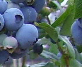 Tuckerberry Hill - Accommodation Mooloolaba 0