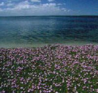 The Lakes National Park - Accommodation Mooloolaba