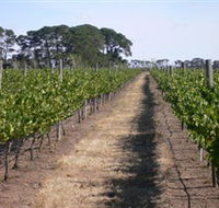 Mount Beckworth Wines - Accommodation Mooloolaba