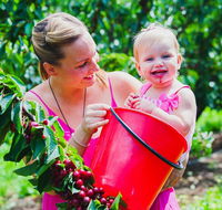 Cherryhill Orchards - Accommodation Mooloolaba