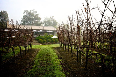 GREENSTONE VINEYARDS - Accommodation Mooloolaba 4