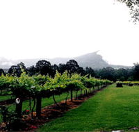 Cambewarra Estate Wines - Accommodation Mooloolaba