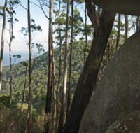 Gulaga National Park - Accommodation Mooloolaba