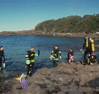 Bushrangers Bay Aquatic Reserve - Accommodation Mooloolaba