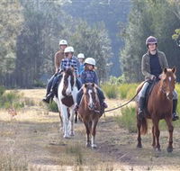 Horse Riding at Oaks Ranch and Country Club - Accommodation Mooloolaba