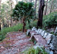 Wodi Wodi Walking Track - Accommodation Mooloolaba