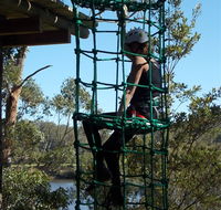 Trees Adventure Shoalhaven - Accommodation Mooloolaba